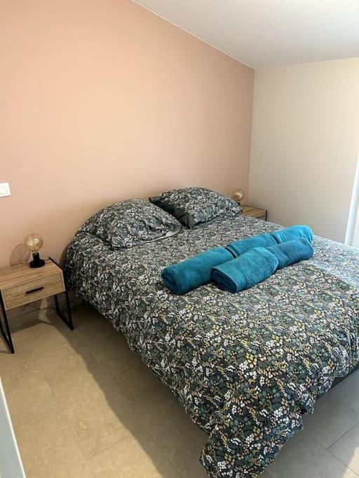 Le Cosy Grenier De Pauline Et Flo Apartment Cessenon-sur-Orb ภายนอก รูปภาพ