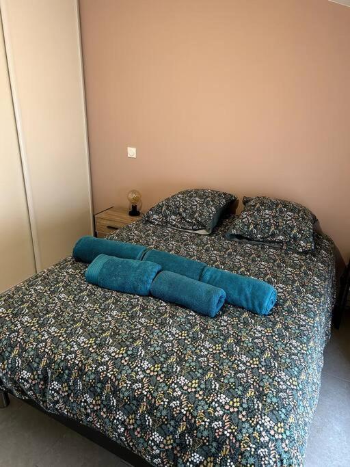 Le Cosy Grenier De Pauline Et Flo Apartment Cessenon-sur-Orb ภายนอก รูปภาพ